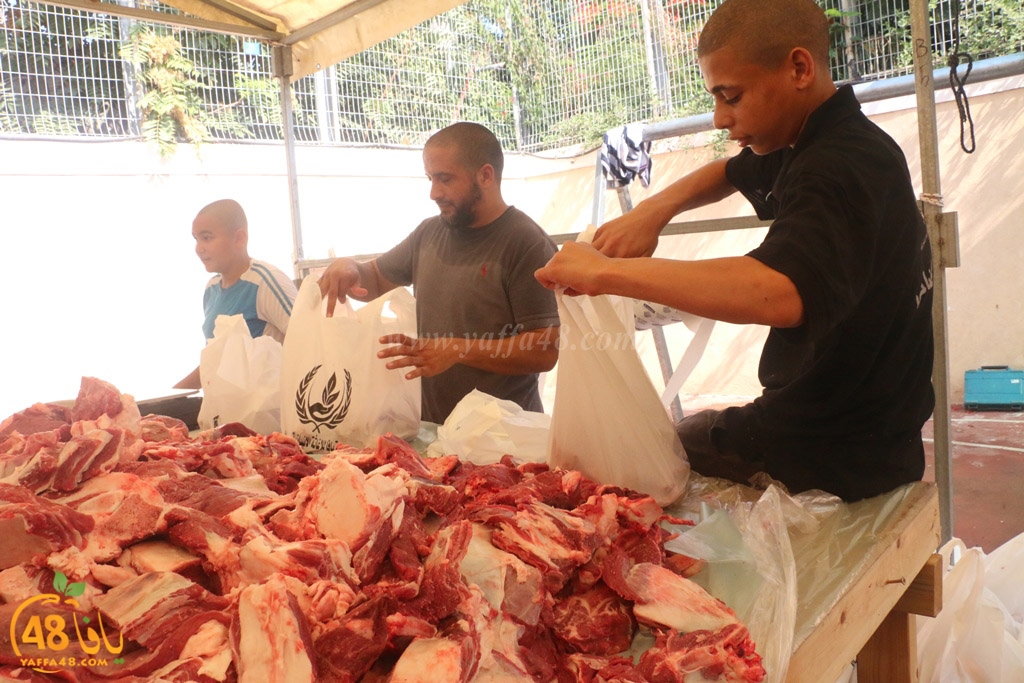 ada7y forthei (62).JPG